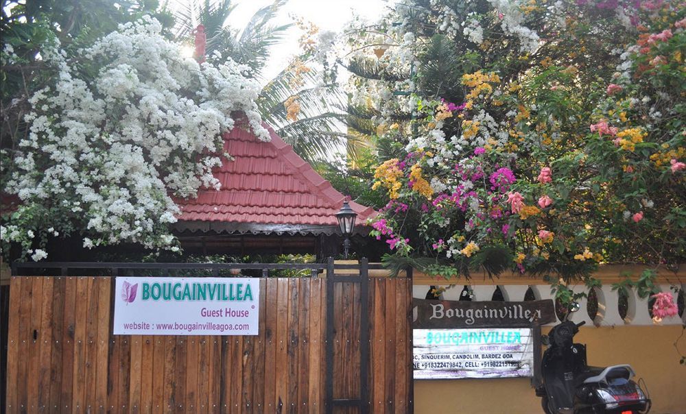 Bougainvillea Guest House Candolim Eksteriør billede